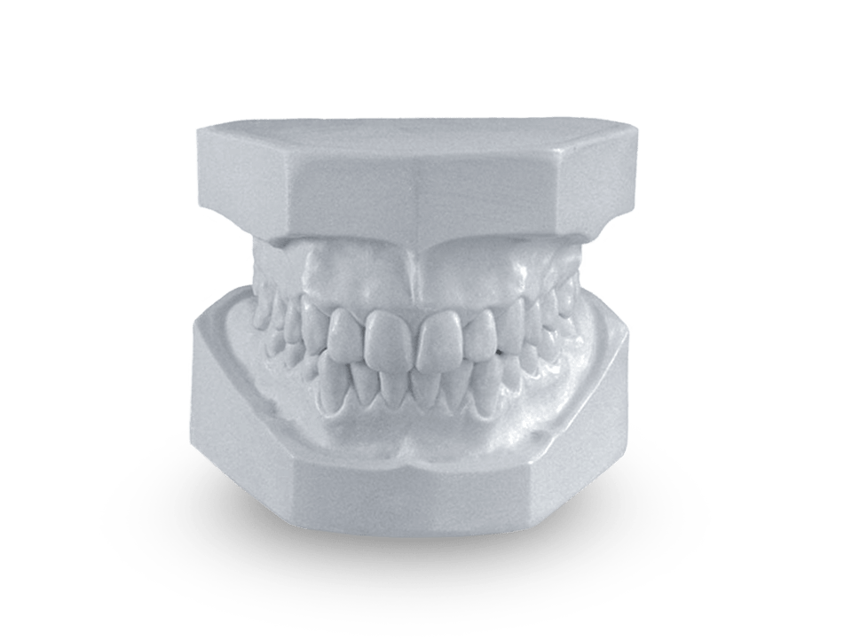 x dentistry teeth model